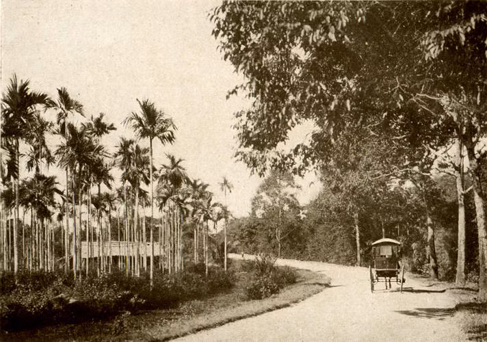 Đường Cái Quan (đường Quốc lộ 1) đoạn dẫn vào Biên Hòa, Đồng Nai. Ảnh: Belleindochine.free.fr.