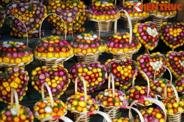 Với các cặp đôi, hoa bất tử là món quà tặng ý nghĩa dành cho nhau. Loài hoa này được coi là biểu tượng cho tình yêu bất diệt, vì dù đã chết, các đóa hoa vẫn giữ được màu sắc ban đầu dù năm tháng trôi qua. Ảnh: Quốc Lê.