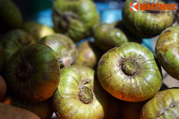 Với các bà nội trợ khéo tay, quả vả được dùng để làm nhiều món ăn khác nhau như muối chua, làm gỏi, hầm với thịt, ăn kèm rau sống, làm mứt...