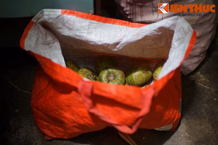 Nhìn chung, quả vả được sử dụng nhiều ở khu vực miền Trung hơn các vùng miền khác. Ở Hà Nội nay TP HCM, đây là loại quả lạ lẫm với nhiều người.