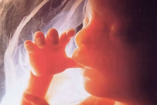 Bé đã có thể "nếm" mùi vị thức ăn qua nước ối. Khi mẹ nạp vào cơ thể những thức ăn có mùi vị đặc trưng, chẳng hạn như các loại gia vị: gừng, tỏi, hành hay các loại đồ ngọt, thức ăn có vị chua hay đắng... thì bé đều cảm nhận được. Bởi khi đó "hương vị" của nước ối cũng thay đổi và đây là cách tự nhiên để chuẩn bị cho bé thích nghi với mùi - vị của thực phẩm khi con chào đời.