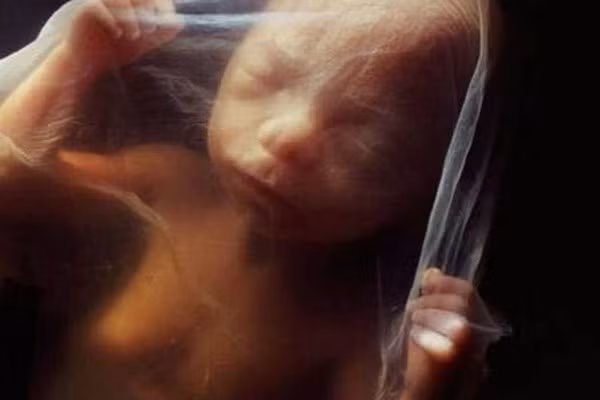 Bé có thể cảm nhận trời sáng và tối. Vào khoảng tuần thứ 20, tim của thai nhi gia tăng nhịp đập chút đỉnh do một “bóng đèn” phía trước tử cung bà mẹ "sáng lên". Đó là phản ứng đầu tiên về thị giác của thai nhi.