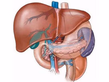 Tổn thương gan. Những loại thuốc giảm đau chứa paracetamol có thể làm tổn thương gan một cách nghiêm trọng nếu dùng sai cách. Triệu chứng của một lá gan bị tổn thương bao gồm chán ăn, buồn nôn.