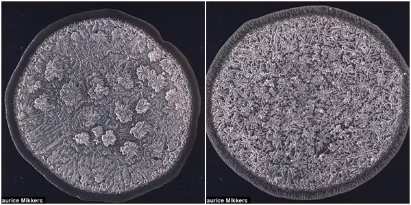 Thế giới bí ẩn và tuyệt mĩ bên trong giọt nước mắt được kích thích khi cắt hành tây trắng.