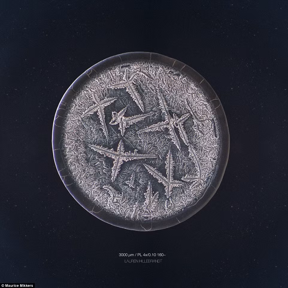 Họa tiết lạ và đẹp bên trong giọt nước mắt xúc động