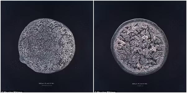 Cấu trúc của nước mắt phần lớn là muối và nước, khi phóng to, bên trong nước mắt trông như hàng ngàn bông tuyết hay các ký họa nghệ thuật độc đáo hút người nhìn.