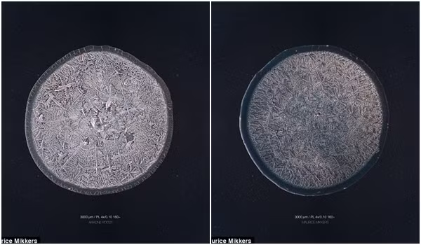 Ban đầu, vài giọt nước mắt sẽ được thu hoạch vào tiêu bản, sau đó đặt tiêu bản chứa nước mắt này dưới kính hiển vi, khám phá và chụp lại cấu tạo bên trong chúng.