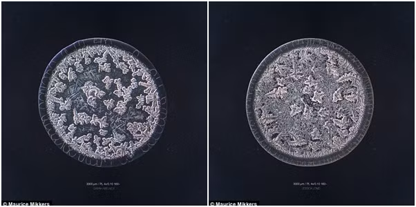 Nhiếp ảnh gia người Hà Lan soi và chụp ảnh nước mắt qua kính hiển vi dựa trên ba loại cơ bản.