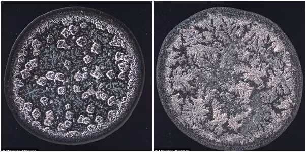 Thông qua thử nghiệm, nhiếp ảnh gia chia nước mắt thành 3 loại khác nhau dựa trên nguồn gốc: nước mắt thông thường dùng để bôi trơn mắt; nước mắt được kích hoạt bới các chất kích thích như hành tây, gia vị; nước mắt bắt nguồn từ cảm xúc. Họ phát hiện ra rằng, các loại nước mắt khác nhau được tạo thành từ nhiều phân tử riêng biệt.