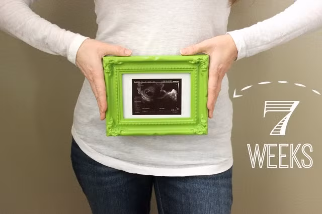 Nicole Mendez, bà mẹ đến từ Mỹ là nhà thiết kế và chủ cửa hàng bán đồ trang trí nhà cửa là chủ nhân của bộ sưu tập ảnh bầu bí thú vị này. Khi đang mang thai đứa con thứ hai, cô đã nảy sinh ý tưởng minh họa kích thước và sự phát triển của thai nhi bằng các loại rau củ, trái cây