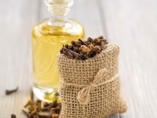 Dầu đinh hương hoặc dầu quế: Đây là phương thuốc tuyệt vời trị viêm nhiễm nướu răng, đặc biệt đối với những cơn đau răng. Bạn có thể thoa loại dầu này vào chỗ nướu răng bị đau. Nhai đinh hương cũng có thể giảm đau. Hoặc rắc một ít quế vào nước ấm và uống loại nước này, cơn đau nhức răng có thể giảm đáng kể.