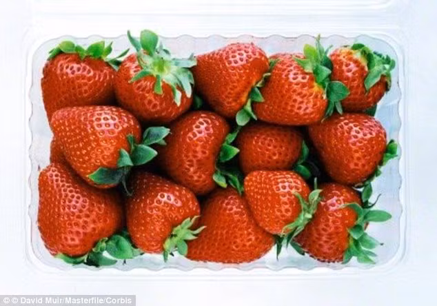 Dùng dâu tây và baking soda. Sự kết hợp 2 nguyên liệu này như một chất làm trắng răng tự nhiên mà an toàn. Bạn có thể nghiền nát dâu tây và trộn với baking soda, dùng hỗn hợp này để loại bỏ các mảng bám, vết ố trên răng do uống cà phê, trà và hút thuốc mỗi ngày.