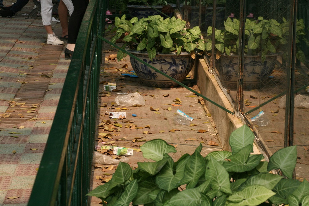Bên trong các chuồng thú, rác thải cũng vứt bừa bãi.