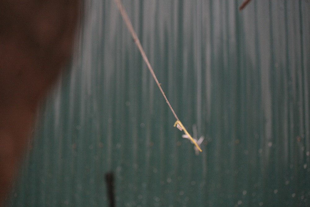 Dây dù mà tiểu thương giăng ngang vào thân cây vào vách tôn dự án để treo bóng điện khi đến buôn bán.