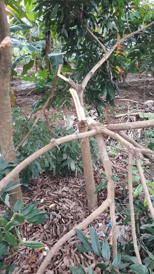 Hiện cơ quan Công an đang điều tra, làm rõ.