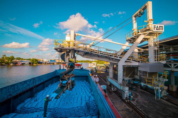 Phan bon Ca Mau vuot kho khan nho chinh sach kinh doanh linh hoat