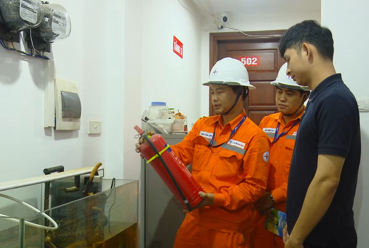 EVNHANOI tăng cường kiểm tra an toàn hành lang lưới điện - Hình 2 EVNHANOI tang cuong kiem tra an toan hanh lang luoi dien-Hinh-2