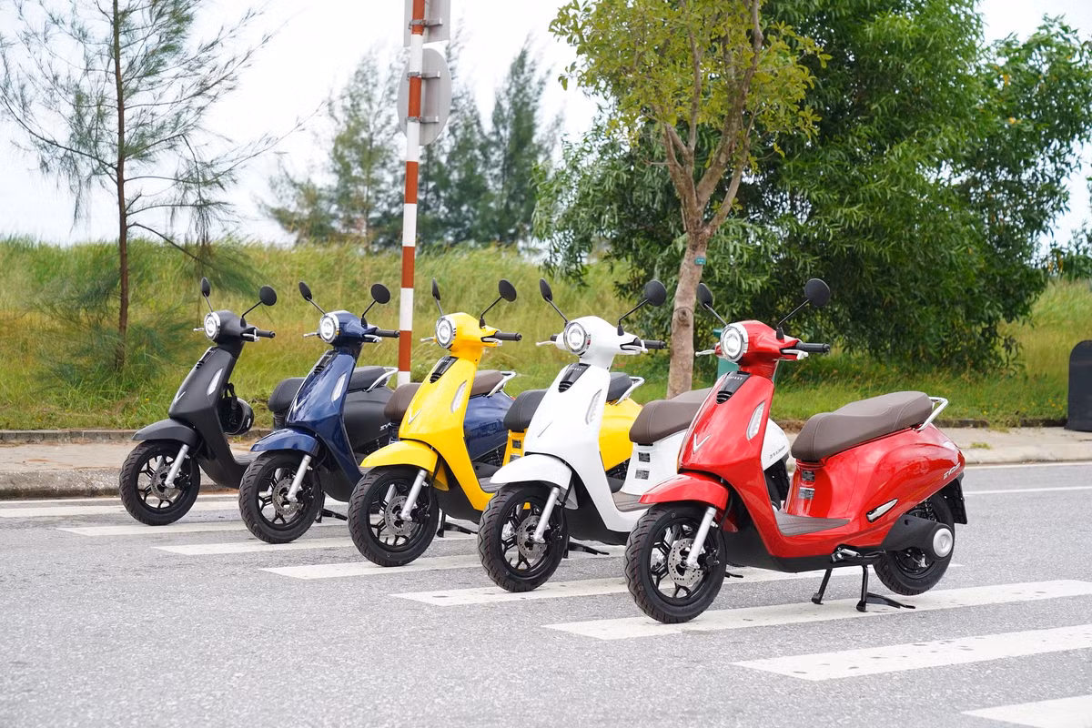 Chu tich tap doan Vingroup thanh lap cong ty cho thue xe va taxi dien VinFast-Hinh-3