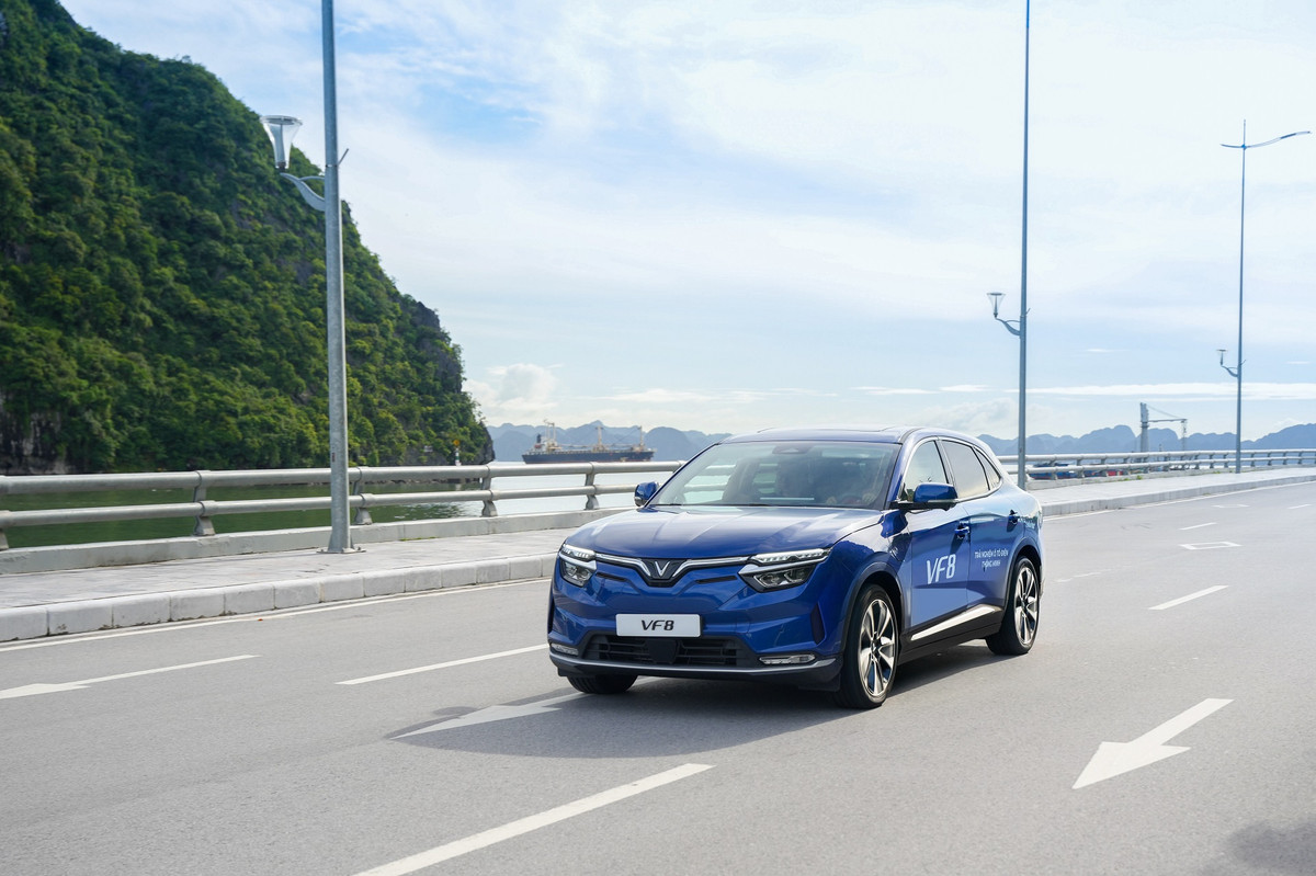 Chu tich tap doan Vingroup thanh lap cong ty cho thue xe va taxi dien VinFast-Hinh-2