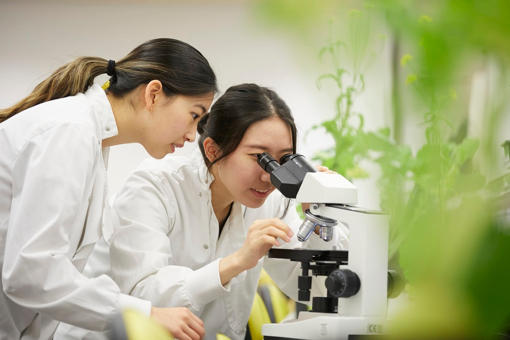 Vinschool công bố chương trình dự bị đại học NCUK-VINSCHOOL - Hình 2 Vinschool cong bo chuong trinh du bi dai hoc NCUK-VINSCHOOL-Hinh-2