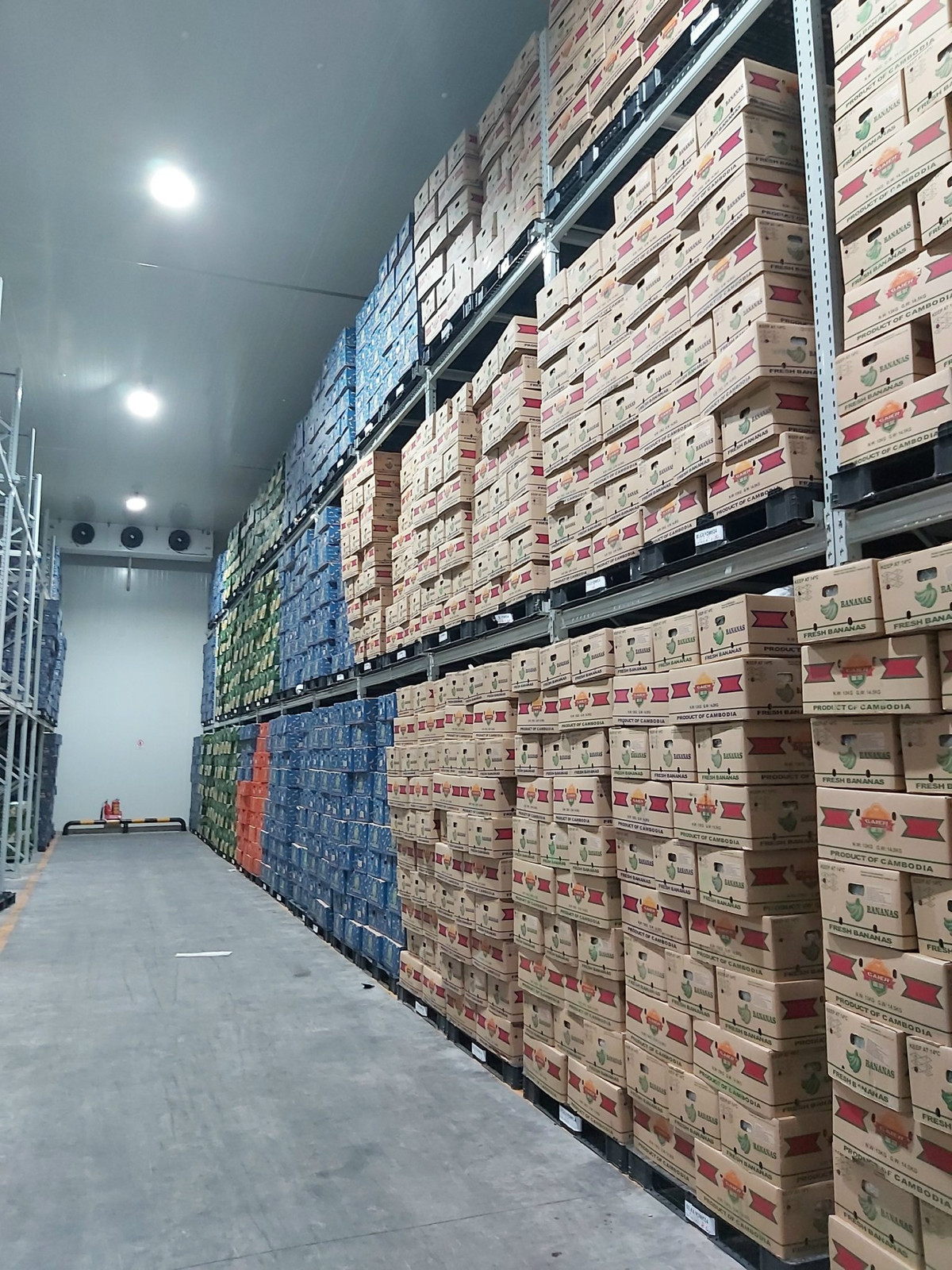 Dich vu kho hang quy mo lon tai mien Trung-Hinh-4