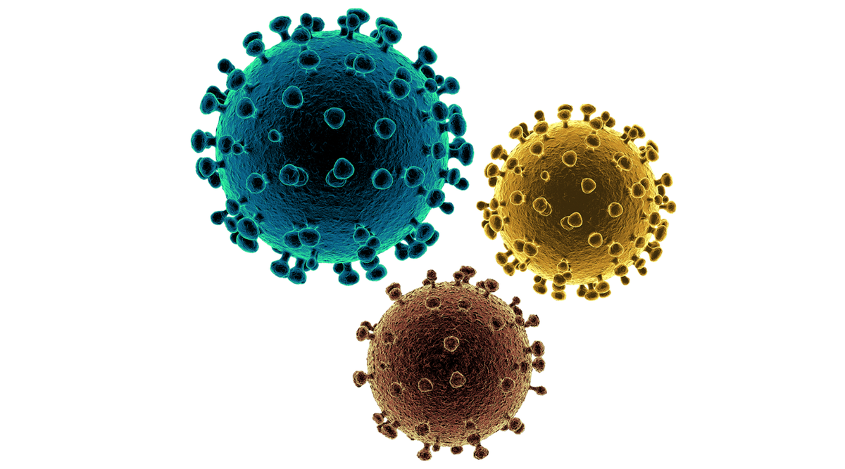 e-Magazine: Toan canh dich benh viem duong ho hap cap do chung moi cua virus corona 2019-nCoV-Hinh-2