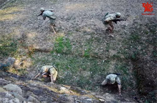 Dac cong Viet Nam duoc ca ngoi tren mang Trung Quoc-Hinh-4