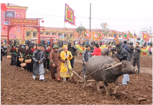 He lo thu du xuan cuc 