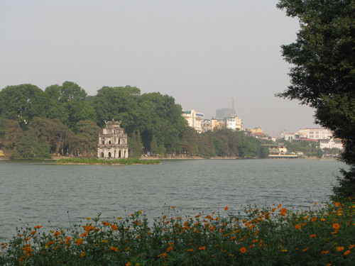 Vi sao Cu rua Ho Guom duoc “than thanh hoa“?