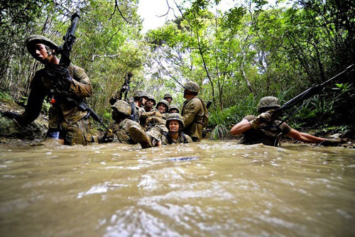 Theo Armytimes, quân đội Mỹ sẽ sử dụng loại dao rựa ngắn hơn để dễ dàng mang theo nhưng con dao sẽ gồm 2 lưỡi. Một lưới để cắt, chặt còn lưỡi kia là một cái cưa. Ngoài ra, quân đội Mỹ cũng đang xem xét các loại vật liệu mới cho đồng phục và đặc biệt là giày cho binh sỹ hoạt động ở Thái Bình Dương trong những năm tới.