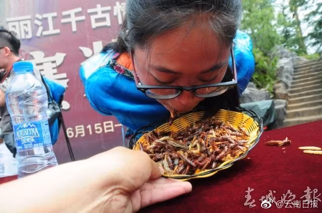 Không thiếu những cô gái trẻ bất chấp tất cả để tham dự cuộc thi ăn sâu bọ độc đáo. Họ rất mạnh mẽ và dứt khoát, không hề thua kém những đấng mày râu. (Nguồn Sina)