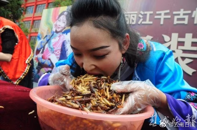 Mới đây, ở một khu du lịch thuộc thành phố Lệ Giang, Vân Nam, Trung Quốc diễn ra cuộc thi ăn sâu bọ vô cùng độc đáo, thu hút đông đảo người dân địa phương và các du khách tới xem, tham gia và thi tài. (Nguồn Sina)