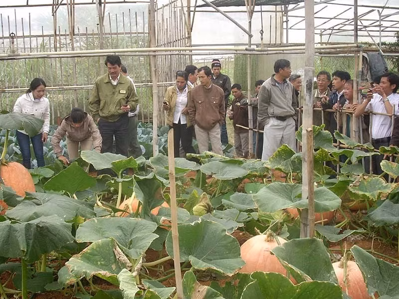 "Co" lam nhieu du lich Da Lat