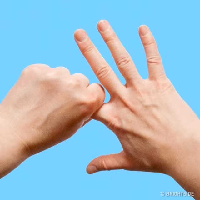 Ngón trỏ: Đây là ngón tay được cho là kiểm soát các cơn đau cơ cũng như một số cảm xúc tiêu cực khác. Các nghiên cứu tại Đại học Minnesota đã chứng minh, các bệnh nhân bị đau lưng và đau cơ sẽ cảm thấy tốt hơn khi nắm lấy ngón trỏ trong khoảng 5 phút.