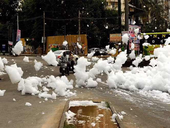 Loại tuyết rơi hóa học độc đáo này xảy ra ở khu vực gần hồ Varthur thuộc thành phố Bangalore, bang Karnataka, Ấn Độ. (Ảnh: Indiatvnews)