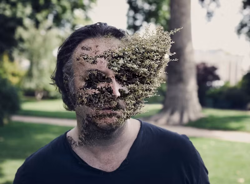 Được biết, loạt tác phẩm này được nghệ sĩ Cal Redback gọi là ""Treebeard" theo tên của một nhân vật người cây trong bộ phim "Chúa tể của những chiếc nhẫn". (Nguồn Sina)