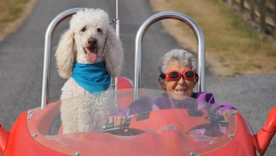 Tất cả đều là những lời lẽ vui vẻ, tốt đẹp, ghi chép lại những niềm vui nhỏ nhặt, những hạnh phúc giản đơn như gặp gỡ một con dê núi nhỏ, được cưỡi ngựa, được ăn kem bạc hà rất ngon, được uốn một kiểu tóc đẹp... mong muốn rằng người thân của mình sẽ nhớ đến mình với hình ảnh một người phụ nữ vui vẻ, yêu đời, tốt bụng. (Nguồn Sina)