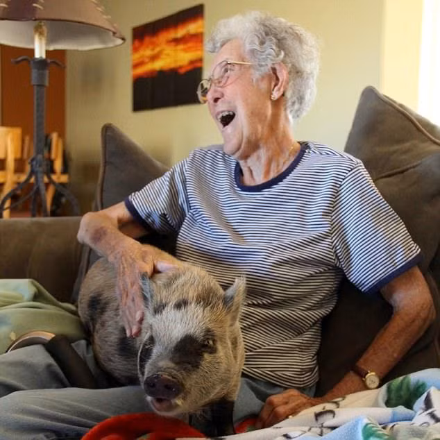 Đọc những dòng chữ thân thương của cụ bà Norma, họ giật mình phát hiện, trong suốt quyển nhật ký, mẹ mình không hề đề cập đến căn bệnh ung thư và nỗi đau đớn bất tận mà nó đem đến, thậm chí chuyện không tốt, không vui bà không nhắc đến nửa lời. (Nguồn Sina)