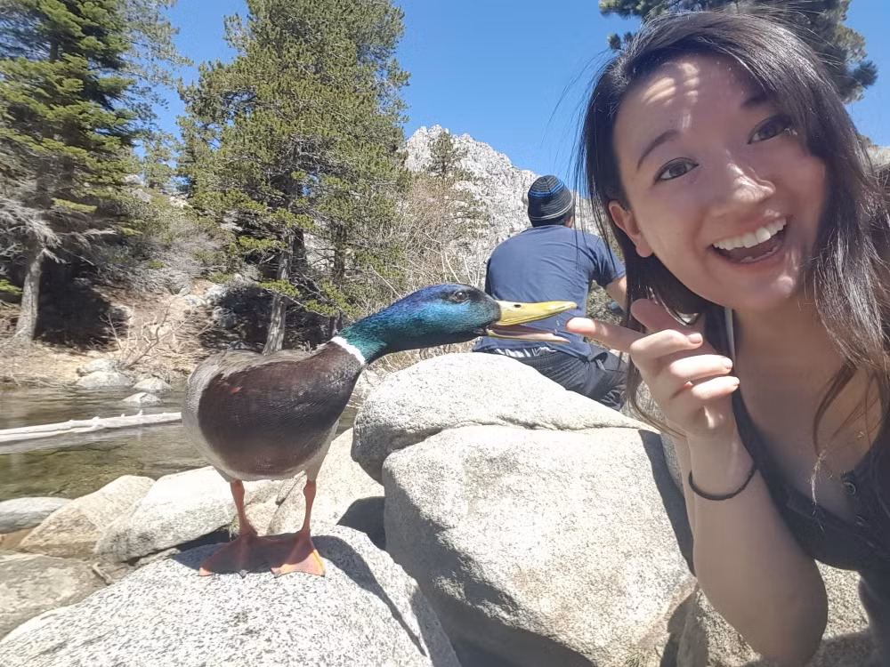 Chụp ảnh tự sướng với động vật hoang dã, cô gái không ngờ sẽ phải trả giá đắng ngay sau đó. (Nguồn Brightside)