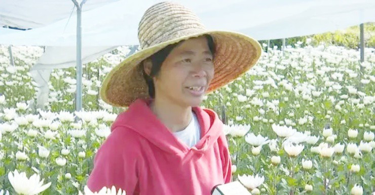 “Hoa cúng” ở Việt Nam, sang nước ngoài thành “mỏ vàng” - Hình 3 “Hoa cung” o Viet Nam, sang nuoc ngoai thanh “mo vang”-Hinh-3