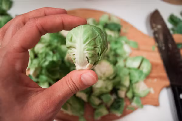 Cũng nhanh chóng gây "sốt" với bà nội trợ Việt, hạt giống bắp cải tí hon 25.000 đồng/hạt vẫn "cháy hàng". Trung bình, mỗi người cần bỏ ra từ 100.000 - 300.000 đồng để mua đủ hạt giống về trồng, chưa kể các chi phí về đất, chất dinh dưỡng cho cây.