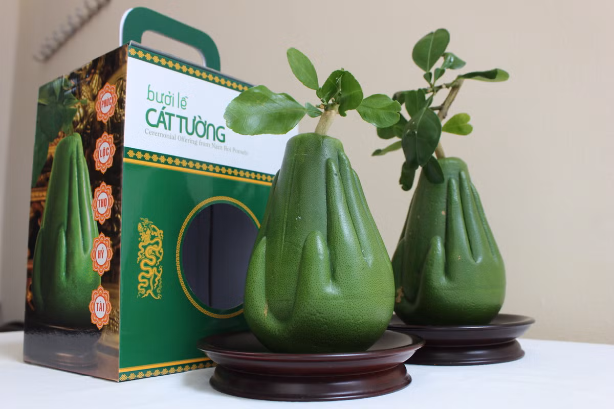 Năm ngoái, số lượng quả cho khách mua tối đa là 3, hàng rất khan hiếm nên rất có thể năm nay, bưởi bàn tay Phật sẽ vẫn được tìm mua, số lượng lớn hơn rất nhiều.