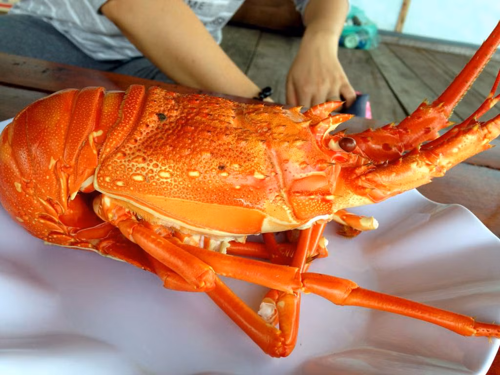 Nhung dac san Nha Trang gia 