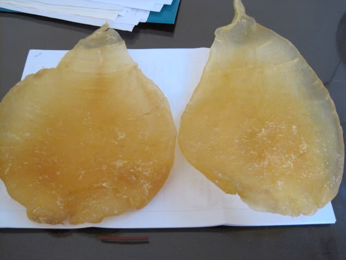 Nhung dac san Nha Trang gia 