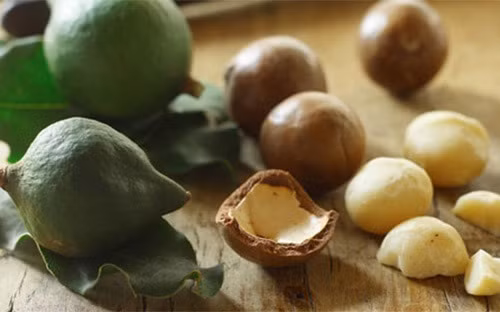 Mặc dù trước đó, mắc ca được đánh giá là hợp thổ nhưỡng, khí hậu của Việt Nam song thực tế cho thấy đây loại cây trồng khó tính với những yêu cầu về đất đai, giống, kỹ thuật trồng và chăm sóc. Nhiều người dân tại Lâm Đồng đã phải chặt mắc ca vì giống này cho năng suất thấp,