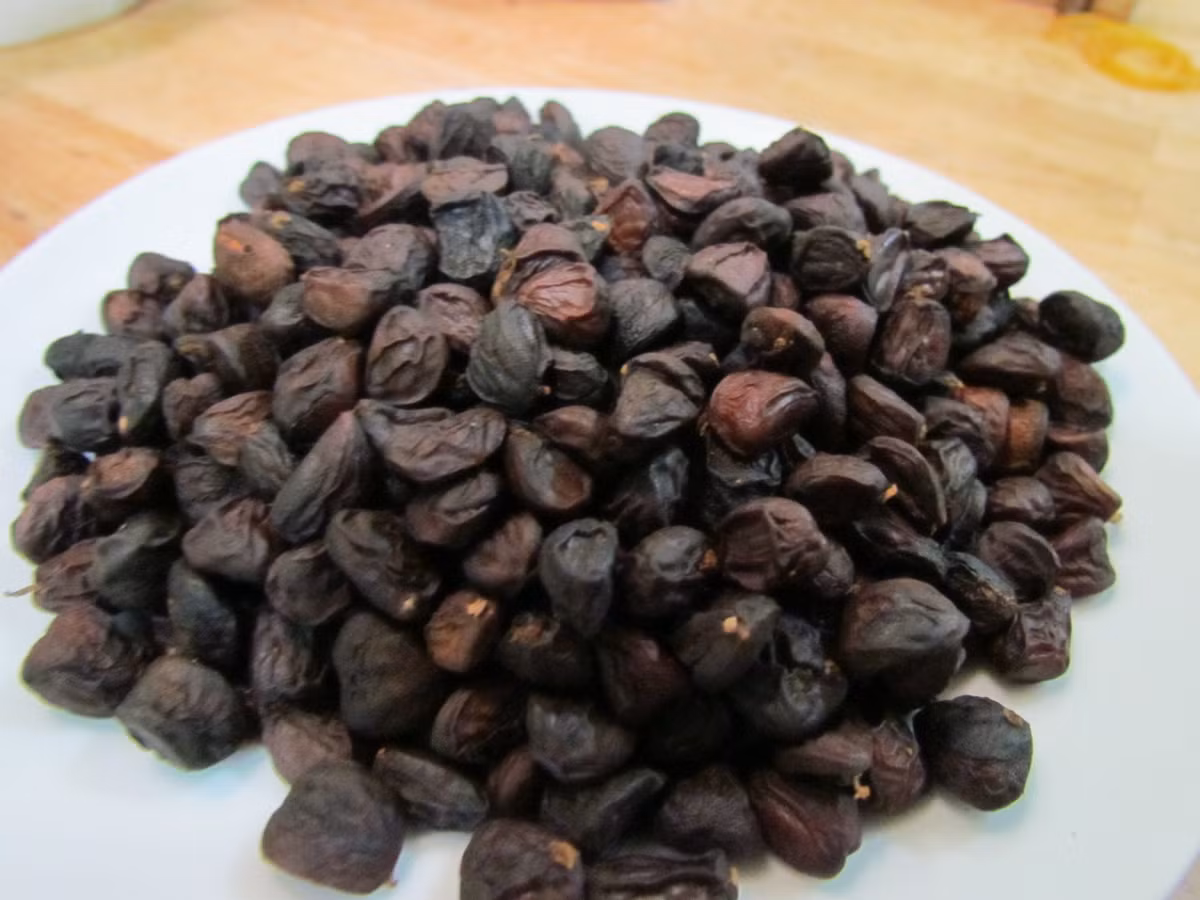 Trong số các loại gia vị đặc trưng vùng Tây Bắc, hạt dổi được xem là một thứ đặc sản đối với người dân vùng xuôi. Các nhà hàng cần chi từ 2- 2,5 triệu đồng cho một kg hạt dổi. Nếu khách cá nhân mua lẻ, sẽ trả từ 2.000 đồng/hạt.