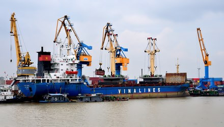 Báo Tiền Phong có đưa tin, báo cáo với Quốc hội về tình hình tài chính và kết quả hoạt động sản xuất, kinh doanh năm 2014 của các doanh nghiệp Nhà nước (DNNN), Chính phủ cho biết, 19 Tập đoàn (TĐ), Tổng Công ty (TCT) còn lỗ lũy kế là 24.451 tỷ đồng, trong đó Vinalines thua lỗ đến 20.687 tỷ đồng. Riêng công ty mẹ Vinalines có mức lỗ lũy kế là 388 tỷ đồng.