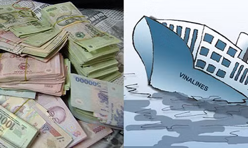 Khi hợp nhất kết quả kinh doanh của các công ty con, mức lỗ của công ty mẹ Vinalines sẽ còn cao hơn rất nhiều. Trong giai đoạn 2012 - 2013, các công ty con của Vinalines lỗ lớn có thể kể đến như CTCP Vận tải Biển Bắc - Nosco (NOS), lỗ 2.000 tỷ đồng, Vosco (VOS) lỗ 223 tỷ đồng, Vitranschart (VST) lỗ 350 tỷ...