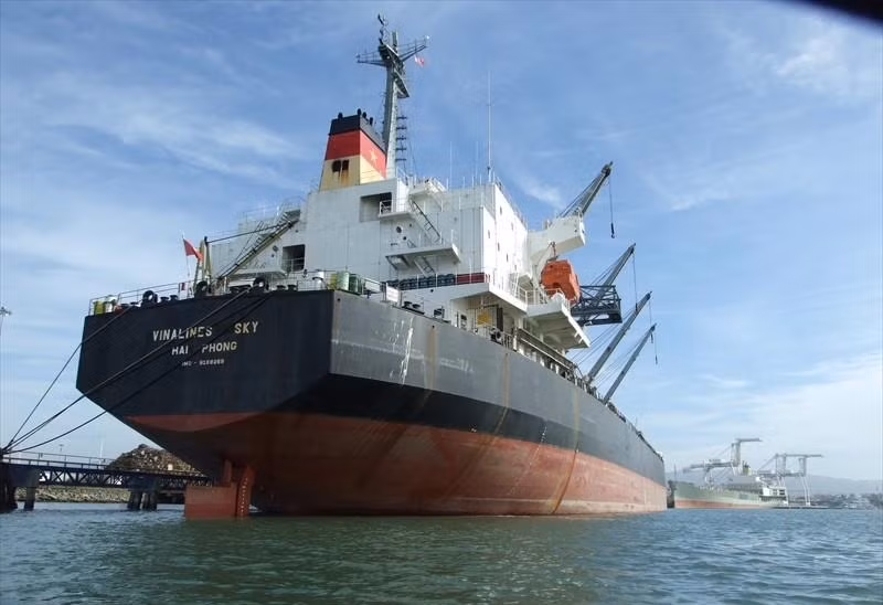 Cuối năm 2010, Vinlalines lỗ trên 1.200 tỷ đồng, tỉ lệ nợ bằng 4,27 lần vốn điều lệ, hiệu quả kinh doanh giảm dần do tăng chi phí về lãi vay, chi phí quản lý và khối lượng lớn vốn đầu tư hiệu quả thấp.