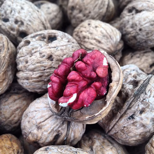 Theo những người bán hàng, hạt óc chó đã tách vỏ sẽ có giá thành cao hơn những sản phẩm óc chó chưa tách vỏ cùng trọng lượng.